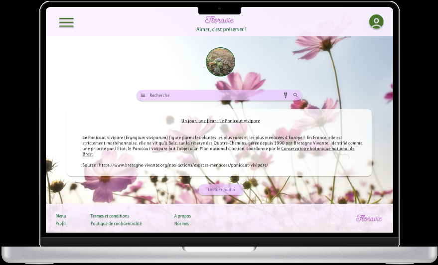 Prototype montrant la page d'accueil version PC du site web responsive fleur en danger